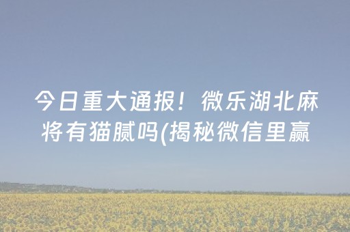 今日重大通报！微乐湖北麻将有猫腻吗(揭秘微信里赢的秘诀)