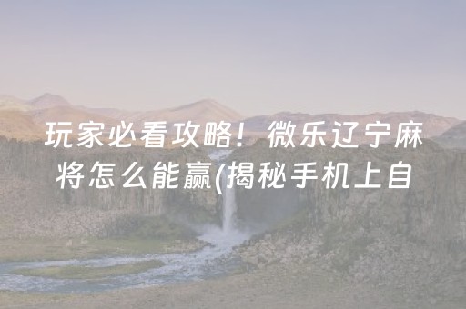 玩家必看攻略！微乐辽宁麻将怎么能赢(揭秘手机上自建房怎么赢)