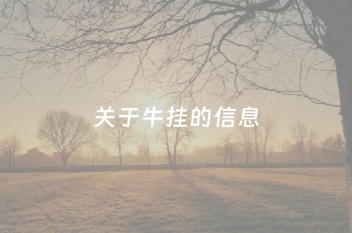 悬空寺（悬空寺简介50字）