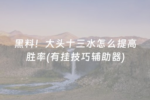 黑料！大头十三水怎么提高胜率(有挂技巧辅助器)