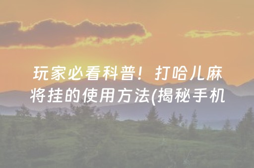 玩家必看科普！打哈儿麻将挂的使用方法(揭秘手机上系统发好牌)