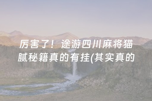 厉害了！途游四川麻将猫腻秘籍真的有挂(其实真的确实有挂)