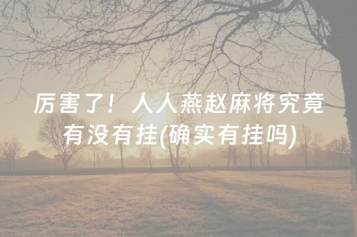 厉害了！人人燕赵麻将究竟有没有挂(确实有挂吗)