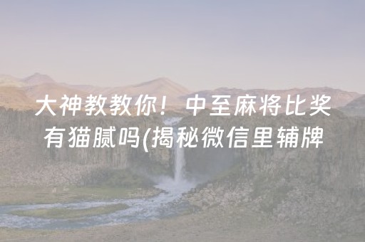 大神教教你！中至麻将比奖有猫腻吗(揭秘微信里辅牌器)