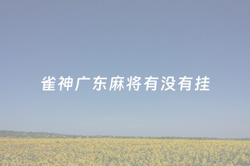 雀神广东麻将有没有挂（雀神广东麻将有挂吗知道）