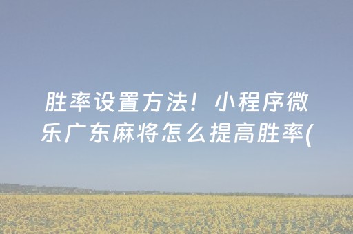 胜率设置方法！小程序微乐广东麻将怎么提高胜率(揭秘小程序助攻神器)