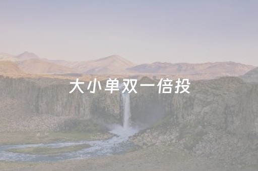大小单双一倍投（大小单双1到十最安全的倍投方法图解）