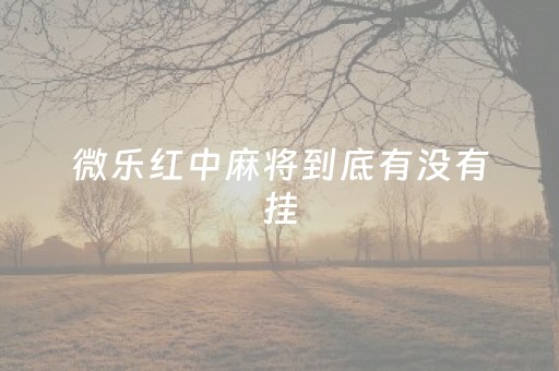 微乐红中麻将到底有没有挂（微乐红十）