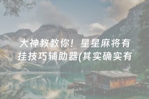 大神教教你！星星麻将有挂技巧辅助器(其实确实有挂)