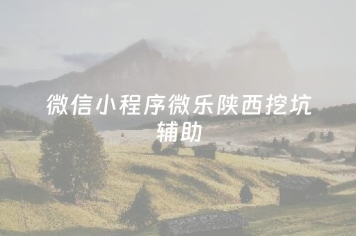 微信小程序微乐陕西挖坑辅助（微乐陕西挖坑开挂方法）