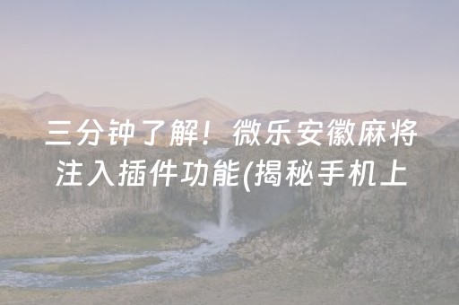 三分钟了解！微乐安徽麻将注入插件功能(揭秘手机上助赢软件)