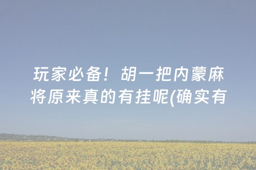 玩家必备！胡一把内蒙麻将原来真的有挂呢(确实有挂)
