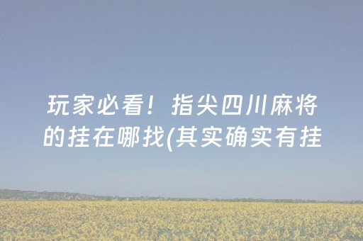 玩家必看！指尖四川麻将的挂在哪找(其实确实有挂)