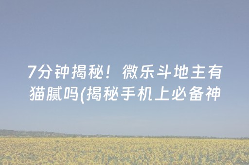 7分钟揭秘！微乐斗地主有猫腻吗(揭秘手机上必备神器)