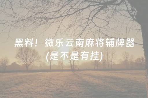 黑料！微乐云南麻将辅牌器(是不是有挂)