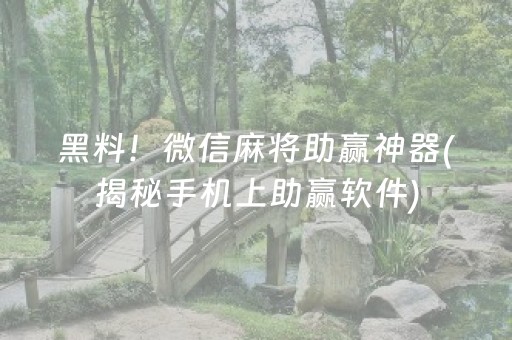 黑料！微信麻将助赢神器(揭秘手机上助赢软件)
