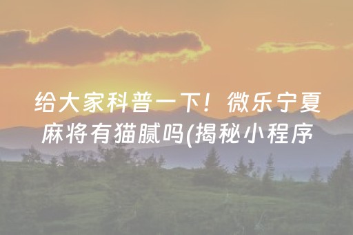 给大家科普一下！微乐宁夏麻将有猫腻吗(揭秘小程序胜率到哪调)