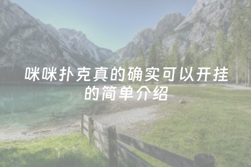 咪咪扑克真的确实可以开挂的简单介绍