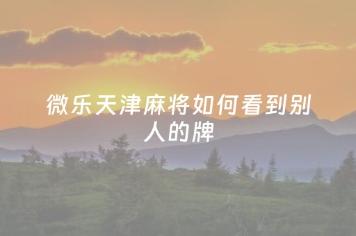 微乐天津麻将如何看到别人的牌（微乐天津麻将到底有没有挂）