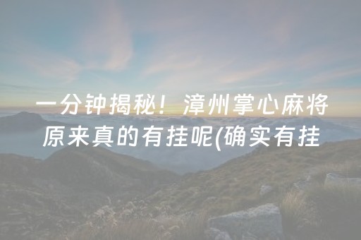 一分钟揭秘！漳州掌心麻将原来真的有挂呢(确实有挂)