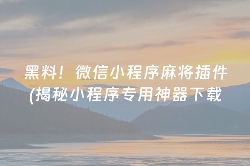 黑料！微信小程序麻将插件(揭秘小程序专用神器下载)