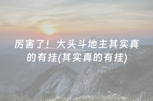 厉害了！大头斗地主其实真的有挂(其实真的有挂)