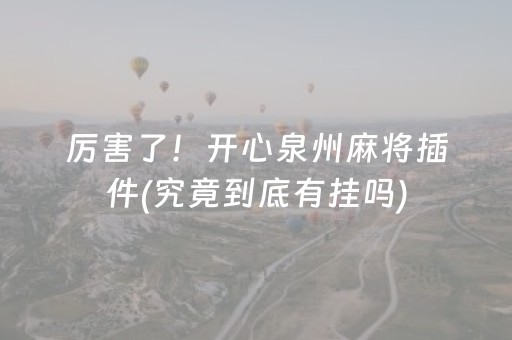 厉害了！开心泉州麻将插件(究竟到底有挂吗)