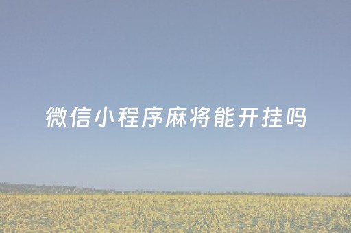 微信小程序麻将能开挂吗（微信小程序麻将能开挂吗安全吗）
