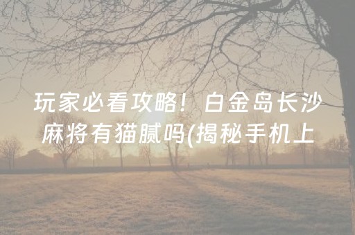 玩家必看攻略！白金岛长沙麻将有猫腻吗(揭秘手机上规律攻略)