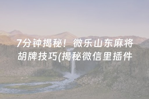 7分钟揭秘！微乐山东麻将胡牌技巧(揭秘微信里插件免费)
