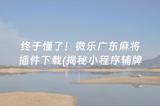 终于懂了！微乐广东麻将插件下载(揭秘小程序辅牌器)