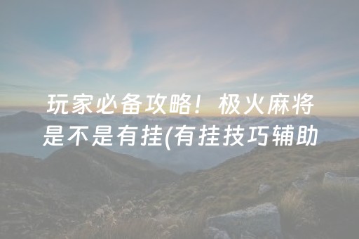 玩家必备攻略！极火麻将是不是有挂(有挂技巧辅助器)