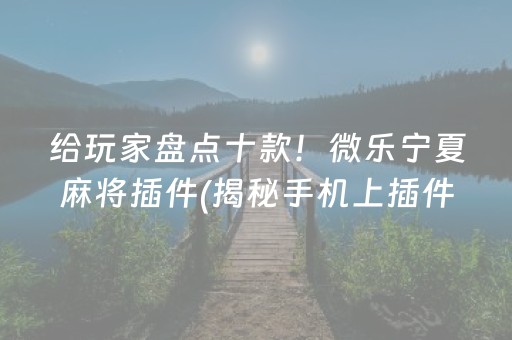 给玩家盘点十款！微乐宁夏麻将插件(揭秘手机上插件免费)