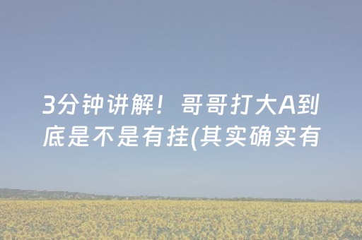 3分钟讲解！哥哥打大A到底是不是有挂(其实确实有挂)