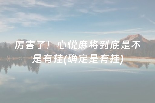 厉害了！心悦麻将到底是不是有挂(确定是有挂)