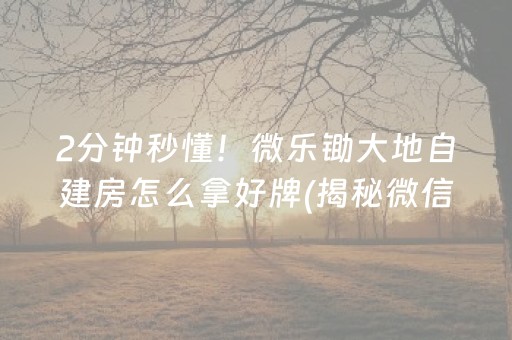2分钟秒懂！微乐锄大地自建房怎么拿好牌(揭秘微信里胜率到哪调)