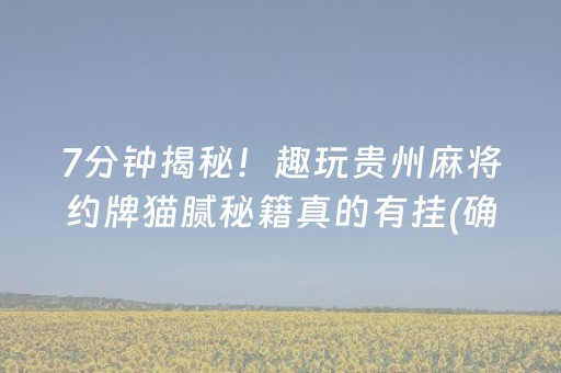 7分钟揭秘！趣玩贵州麻将约牌猫腻秘籍真的有挂(确定是有挂)