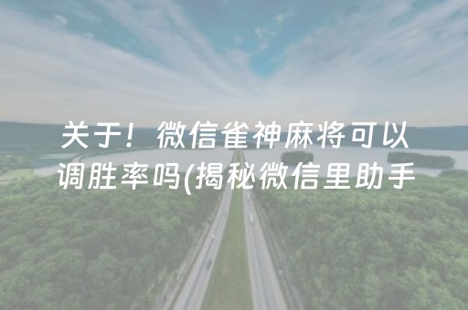 关于！微信雀神麻将可以调胜率吗(揭秘微信里助手软件)