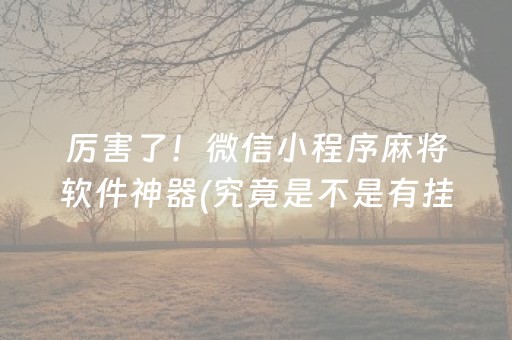 厉害了！微信小程序麻将软件神器(究竟是不是有挂)