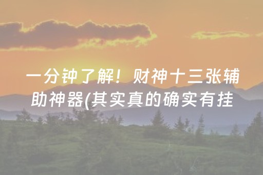 一分钟了解！财神十三张辅助神器(其实真的确实有挂)