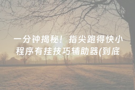 一分钟揭秘！指尖跑得快小程序有挂技巧辅助器(到底是不是有挂)