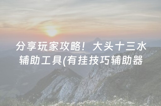 分享玩家攻略！大头十三水辅助工具(有挂技巧辅助器)