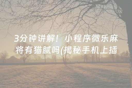 3分钟讲解！小程序微乐麻将有猫腻吗(揭秘手机上插件购买)