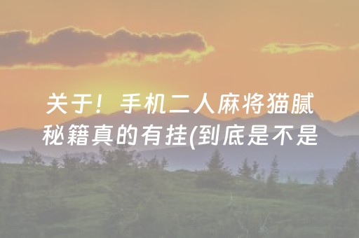 关于！手机二人麻将猫腻秘籍真的有挂(到底是不是有挂)
