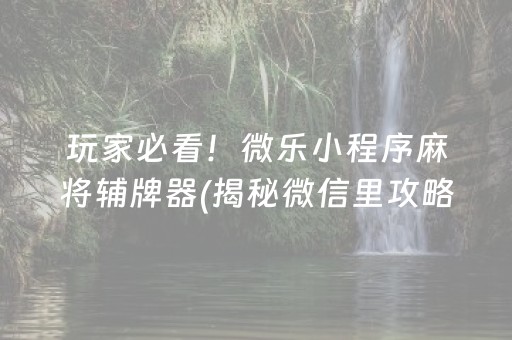 玩家必看！微乐小程序麻将辅牌器(揭秘微信里攻略插件)