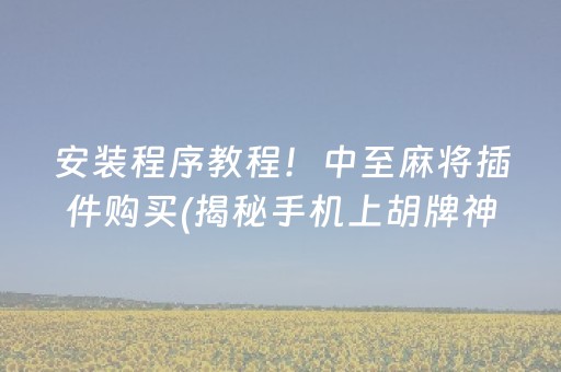安装程序教程！中至麻将插件购买(揭秘手机上胡牌神器)
