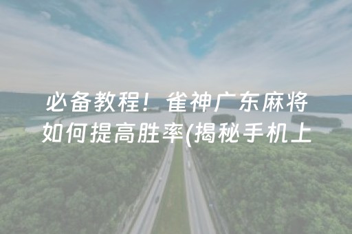 必备教程！雀神广东麻将如何提高胜率(揭秘手机上赢牌技巧)