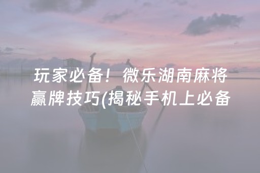 玩家必备！微乐湖南麻将赢牌技巧(揭秘手机上必备神器)