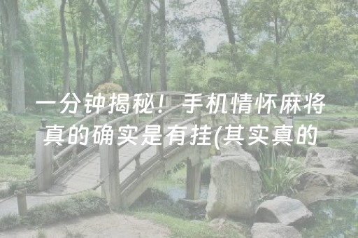 一分钟揭秘！手机情怀麻将真的确实是有挂(其实真的有挂)