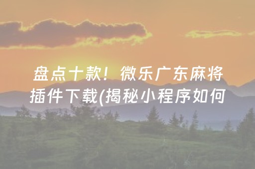 盘点十款！微乐广东麻将插件下载(揭秘小程序如何让牌变好)